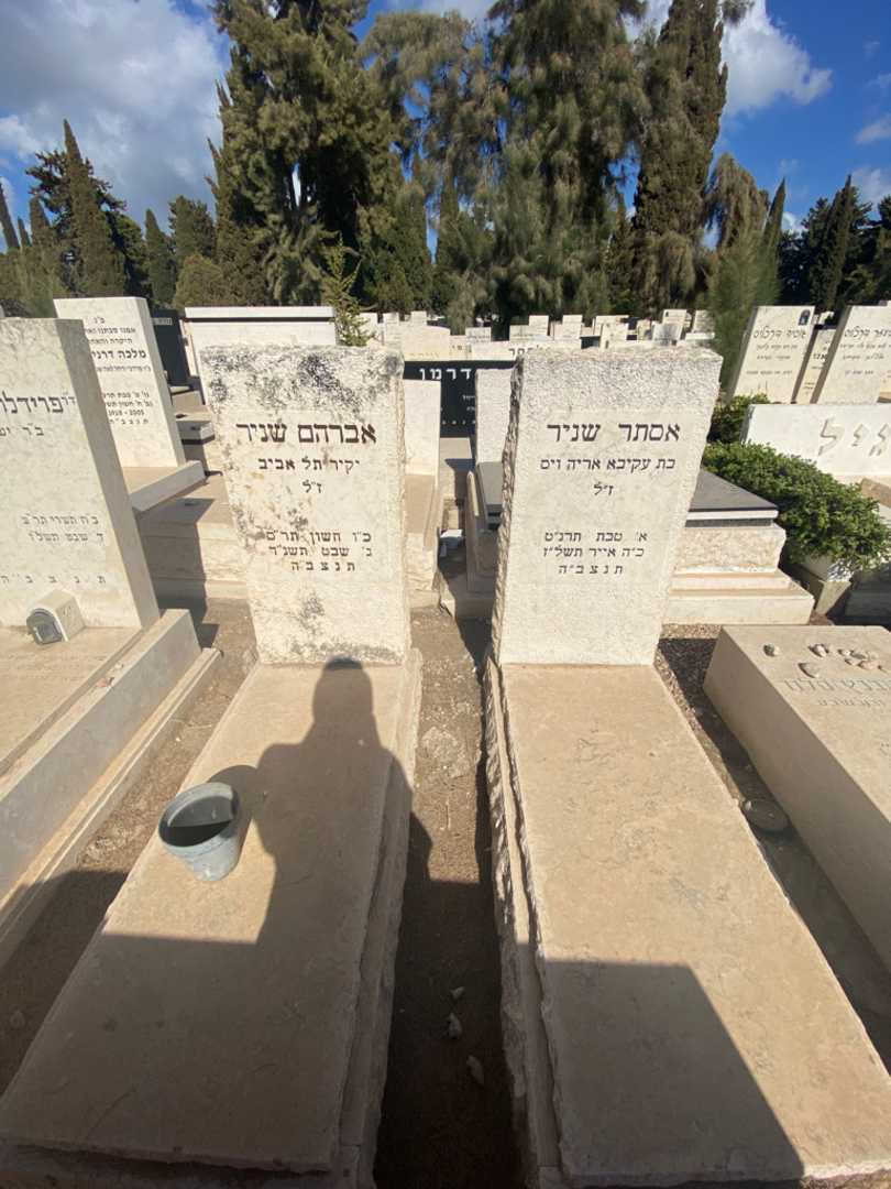 קברו של אברהם שניר. תמונה 2