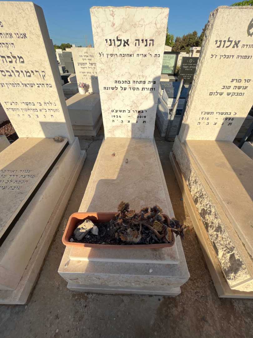 קברו של הניה אלוני