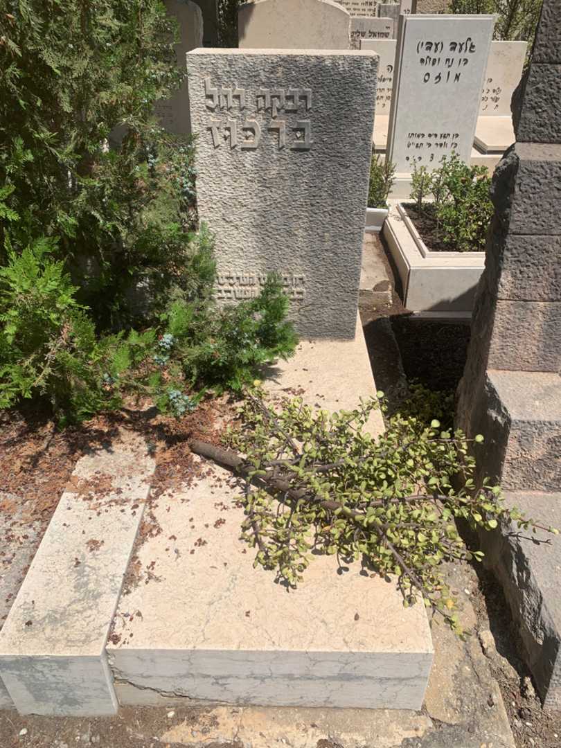 קברו של רבקה רחל ברכוז. תמונה 2