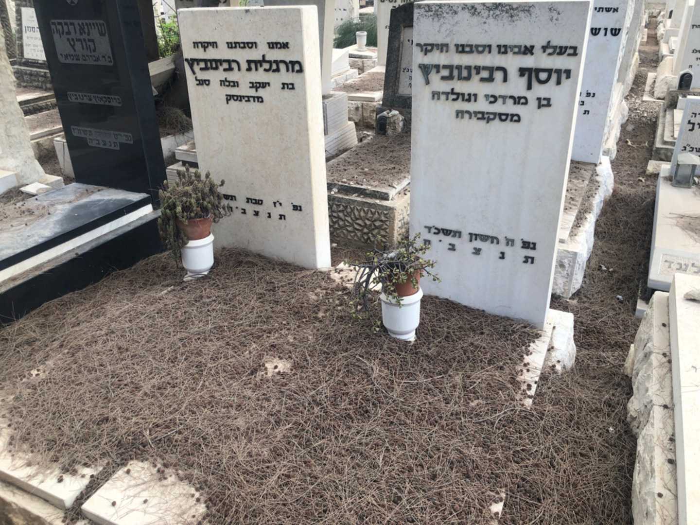 קברו של מרגלית רבינוביץ. תמונה 2