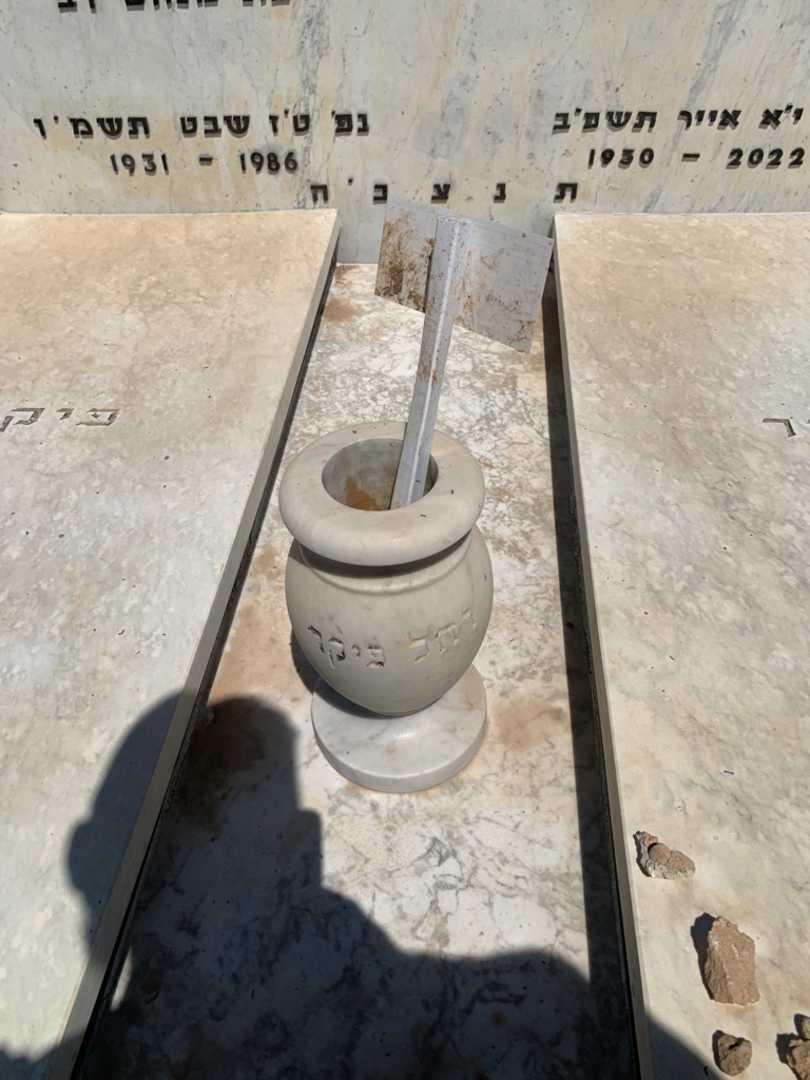 קברו של חיינריך צבי פיקר. תמונה 2