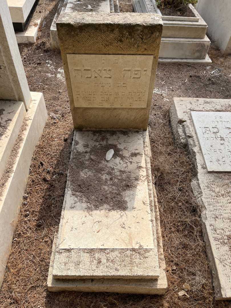 קברו של יפה צאלח