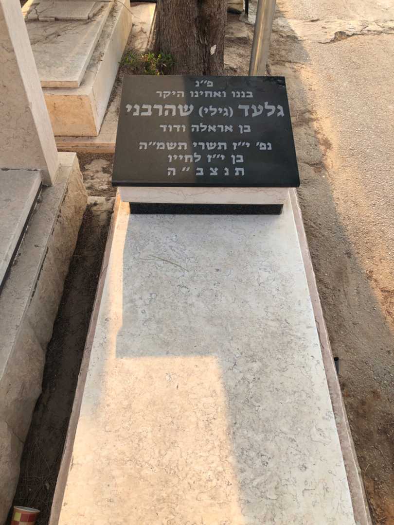 קברו של גלעד "גילי" שהרבני