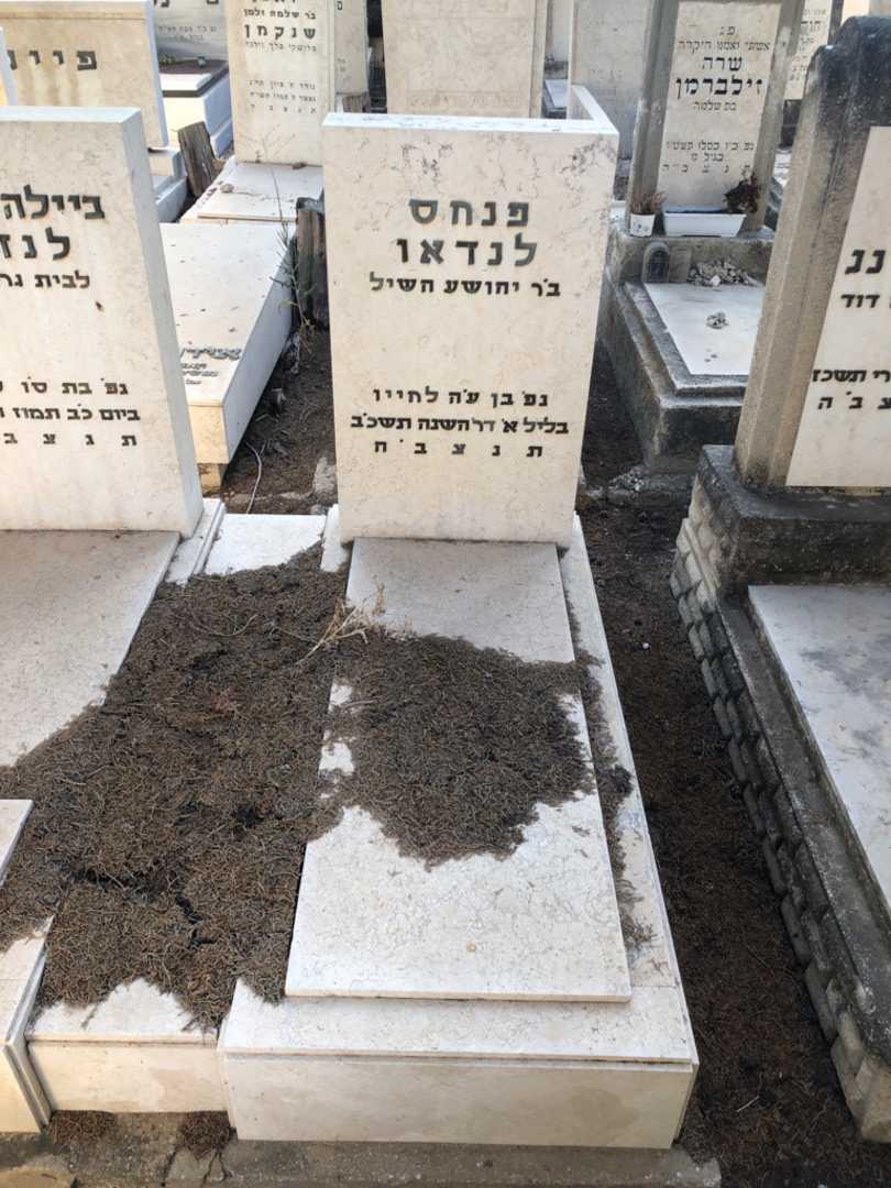 קברו של פנחס לנדאו. תמונה 1