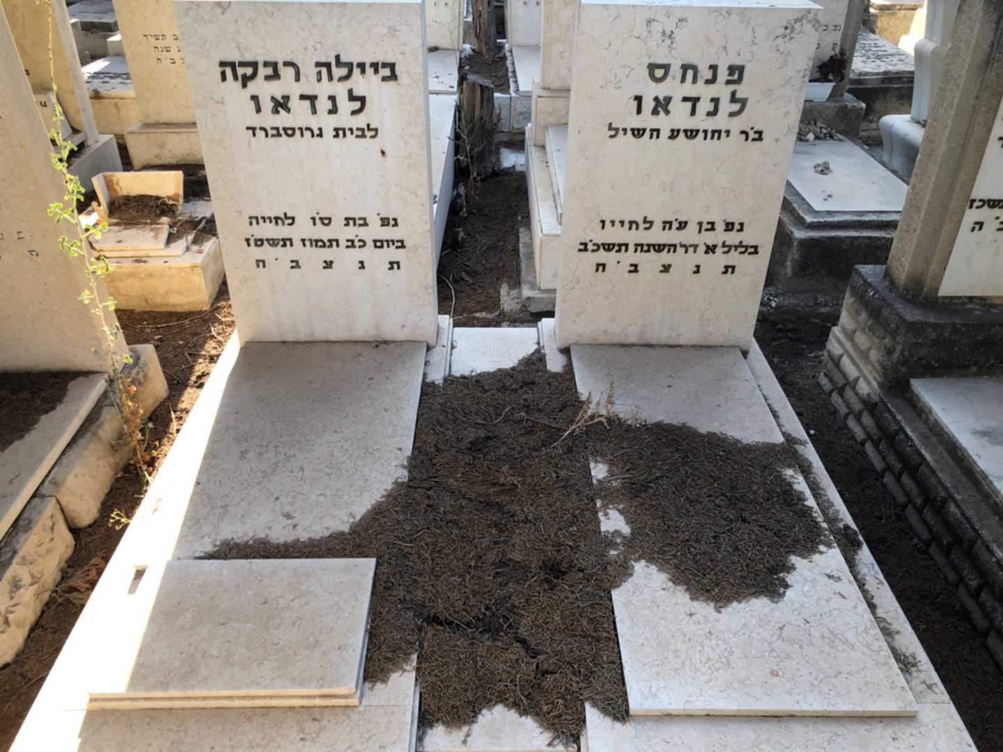 קברו של פנחס לנדאו. תמונה 2