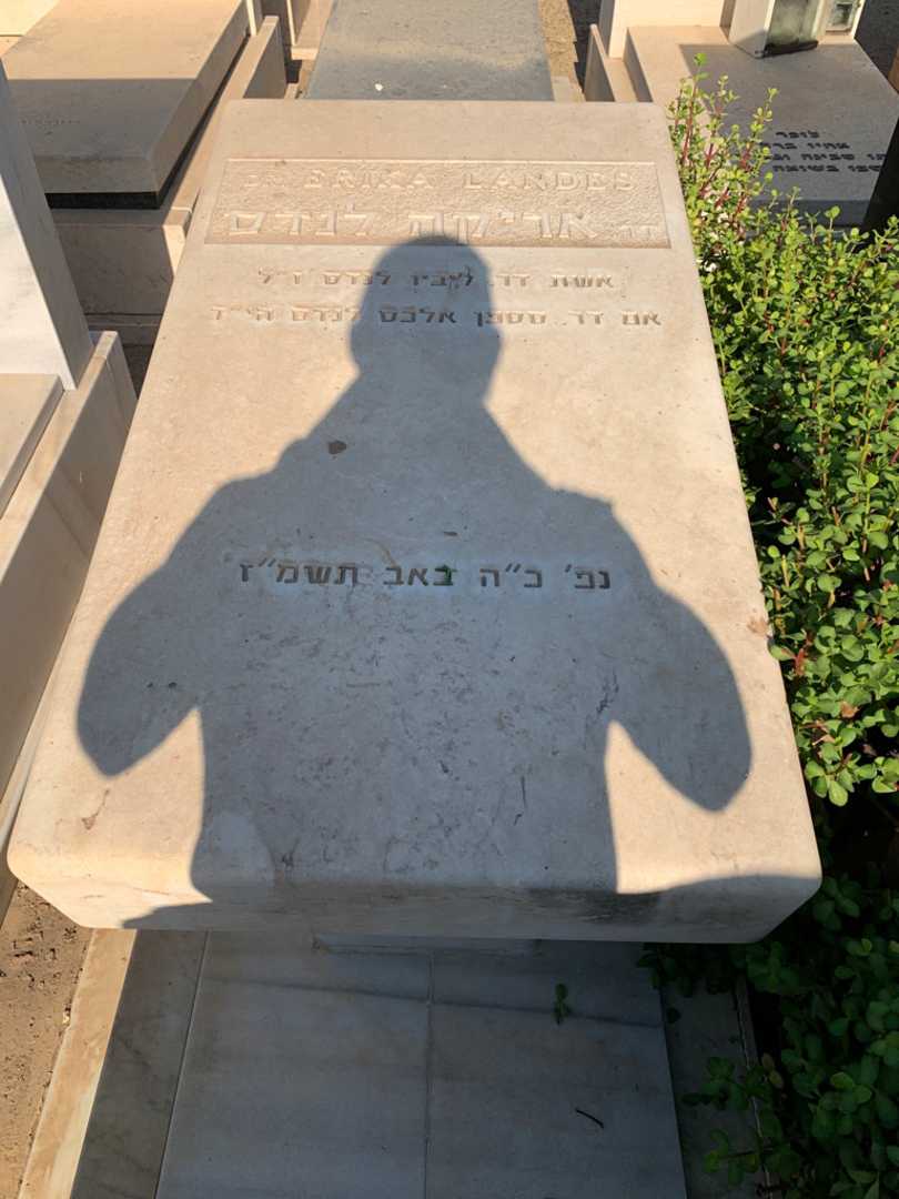 קברו של אריקה לנדס