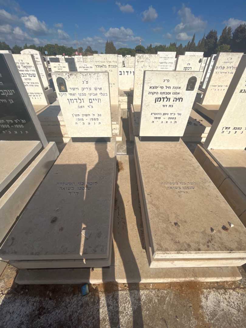 קברו של חיים ולדמן. תמונה 1