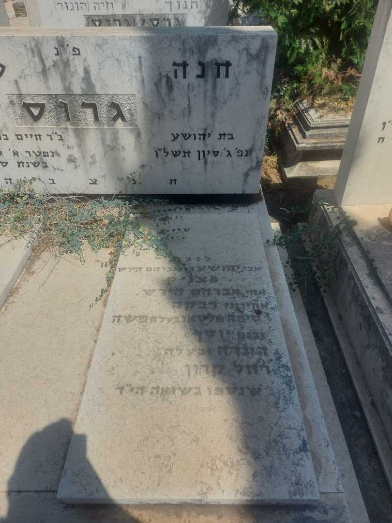 קברו של אברהם הירש. תמונה 1