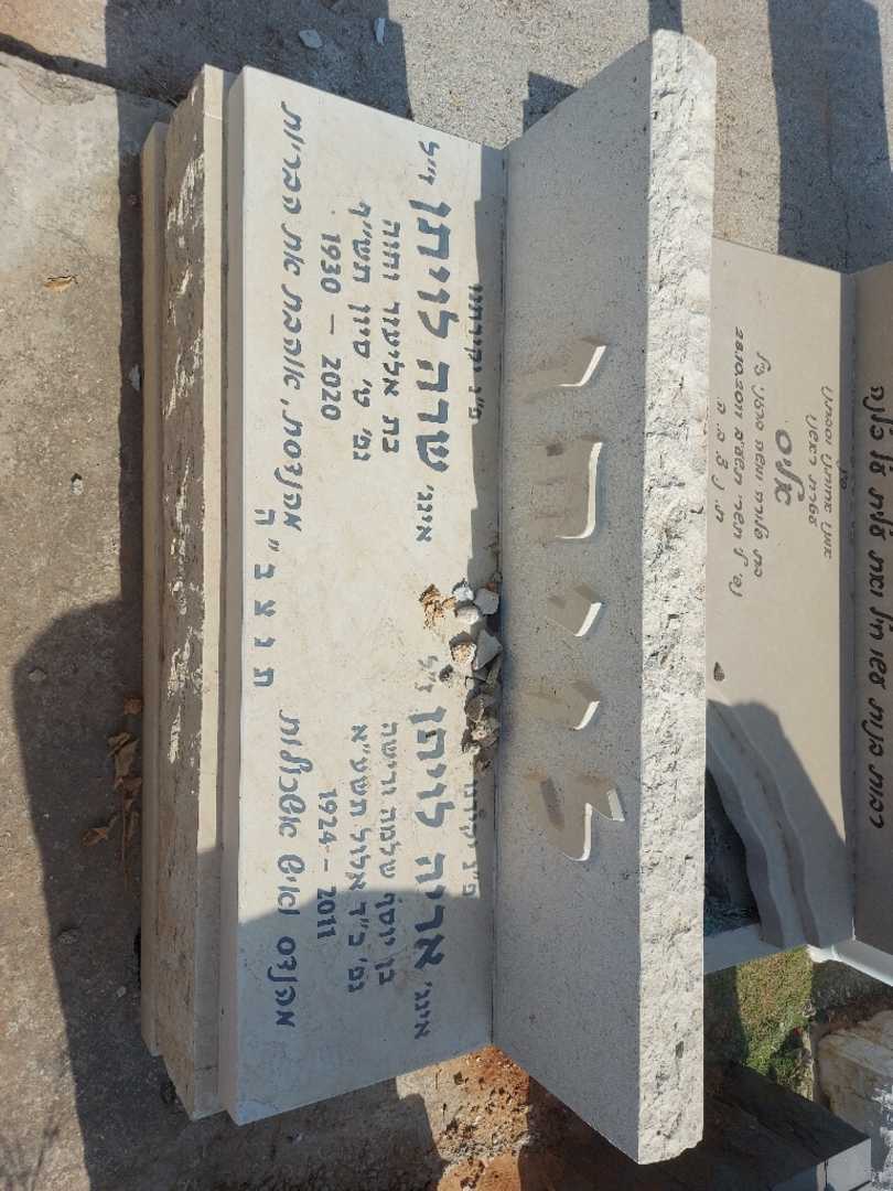 קברו של אריה לויתן