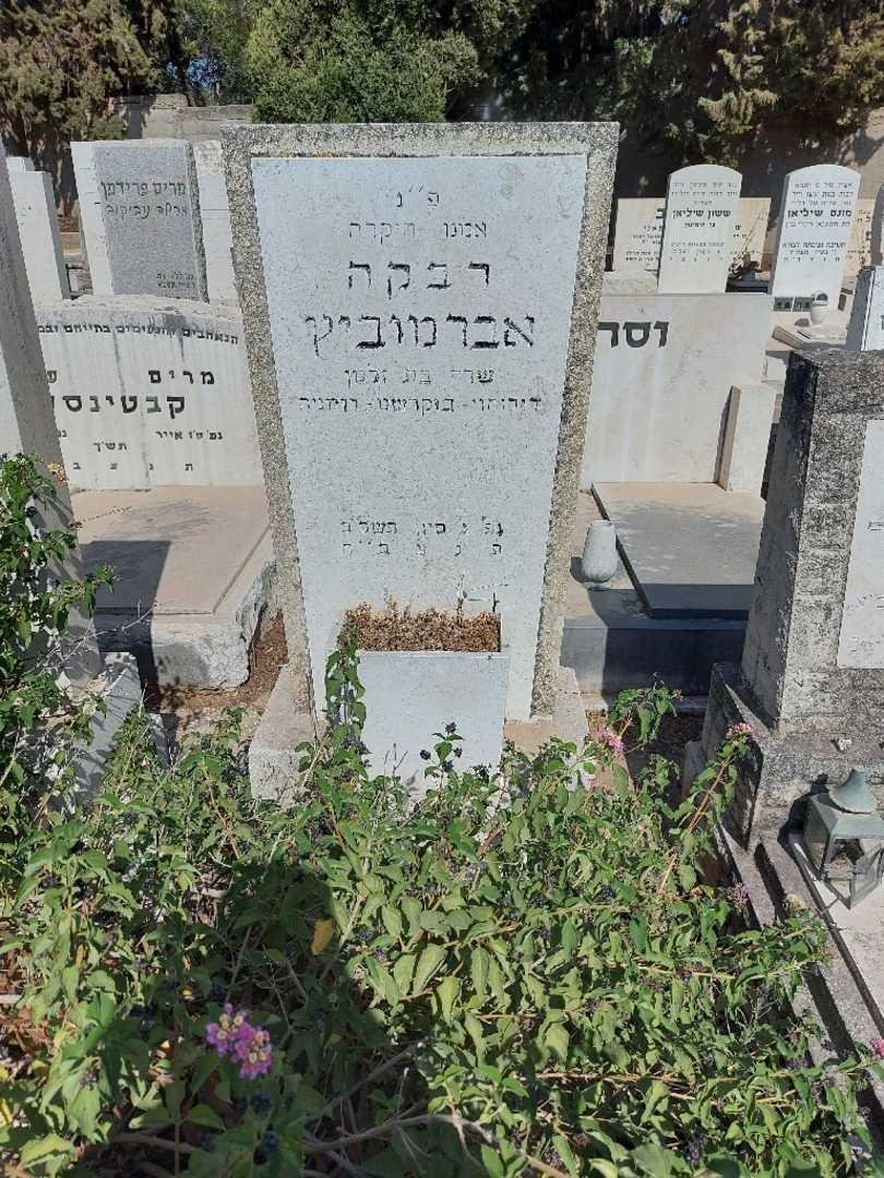 קברו של רבקה אברמוביץ