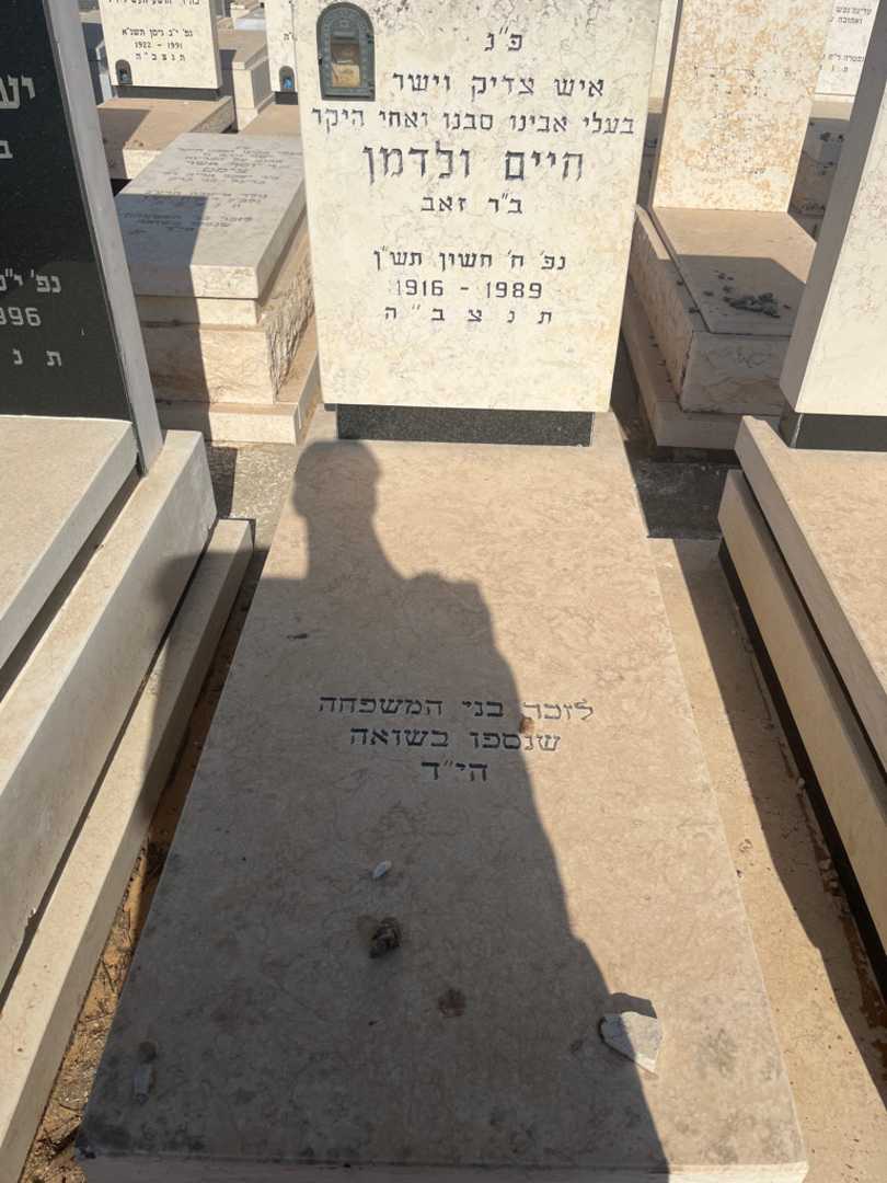 קברו של חיים ולדמן. תמונה 2