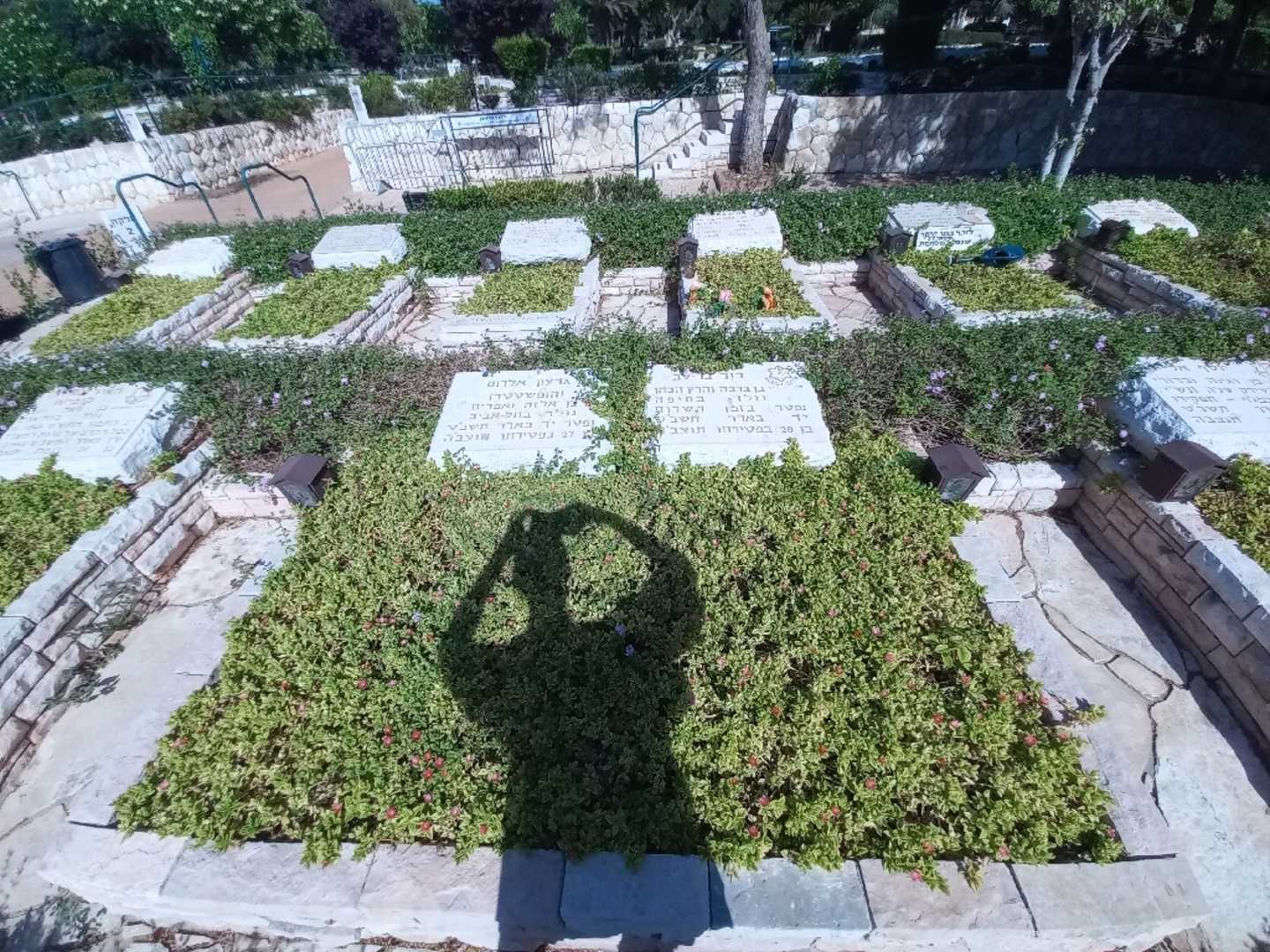 קברו של גדעון אלרום (הופשטטר). תמונה 2