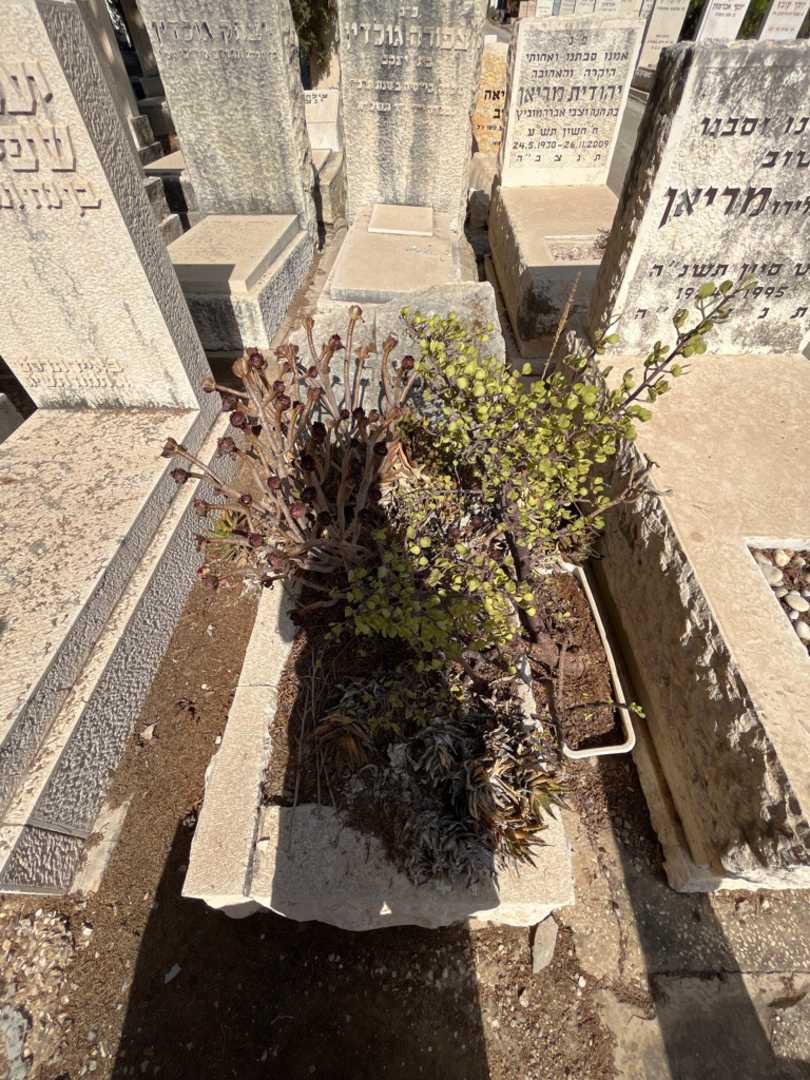 קברו של פיליפ פריברגר. תמונה 1