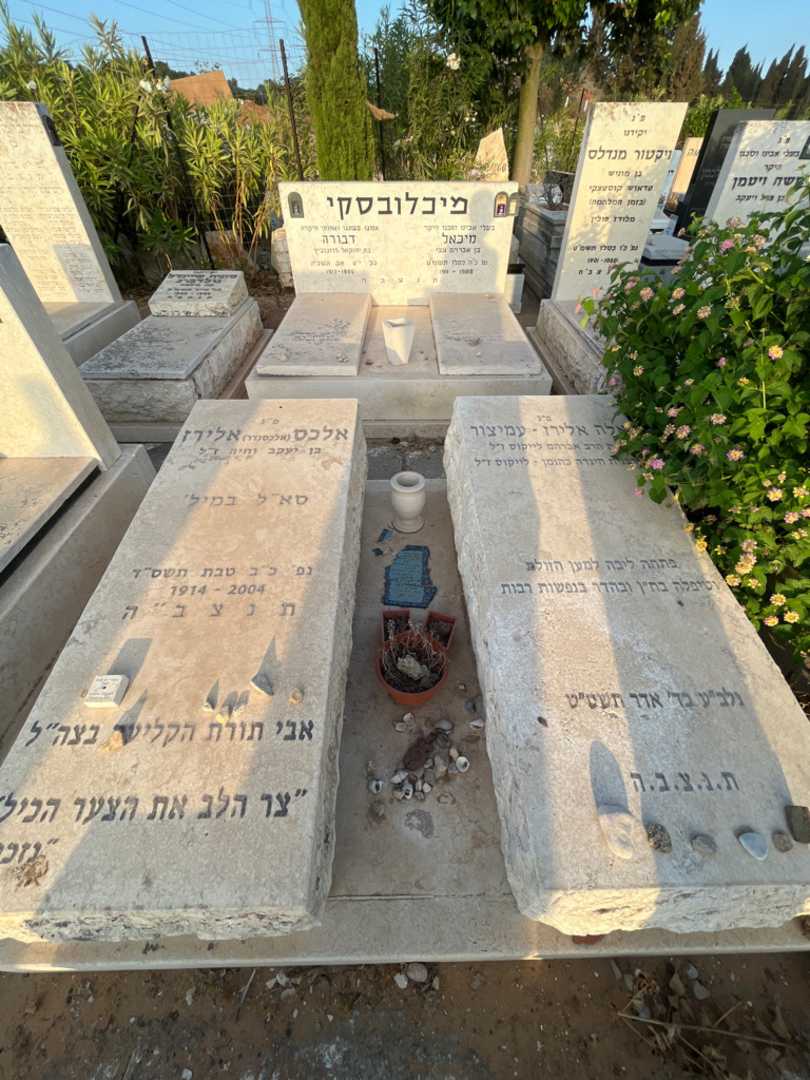 קברו של אלכס "אלכסנדר" אלירז. תמונה 2