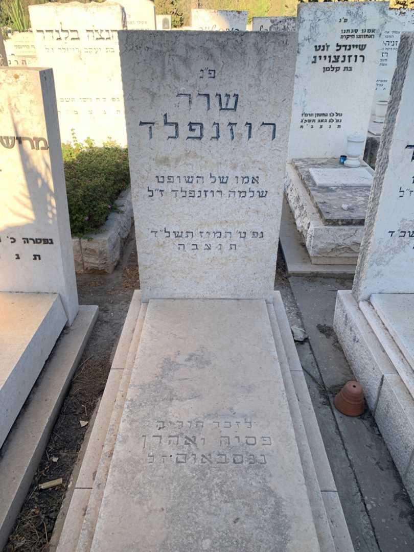 קברו של שרה רוזנפלד