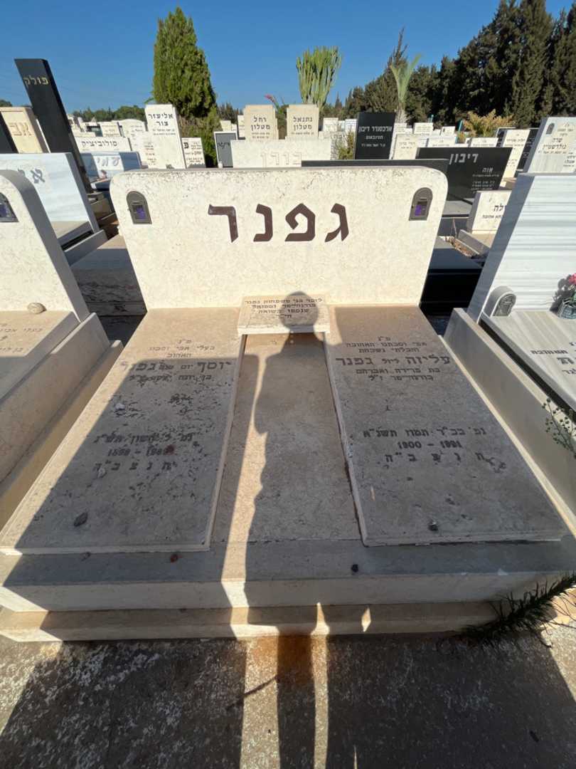 קברו של בודנהיימר גפנר. תמונה 1