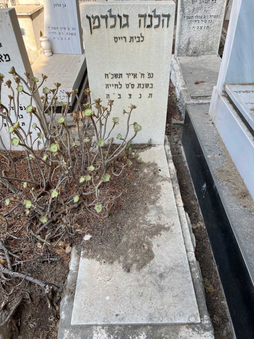 קברו של הלנה גולדמן רייס. תמונה 1