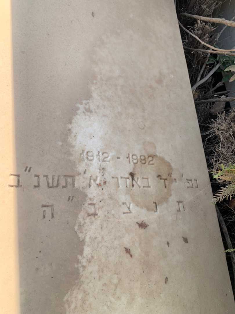קברו של מרדכי "ניקולאי" סמוק. תמונה 3