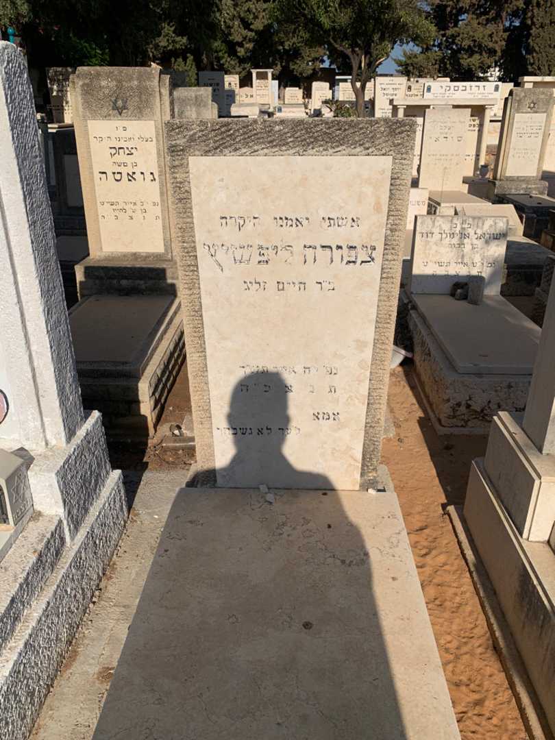 קברו של צפורה ליפשיץ