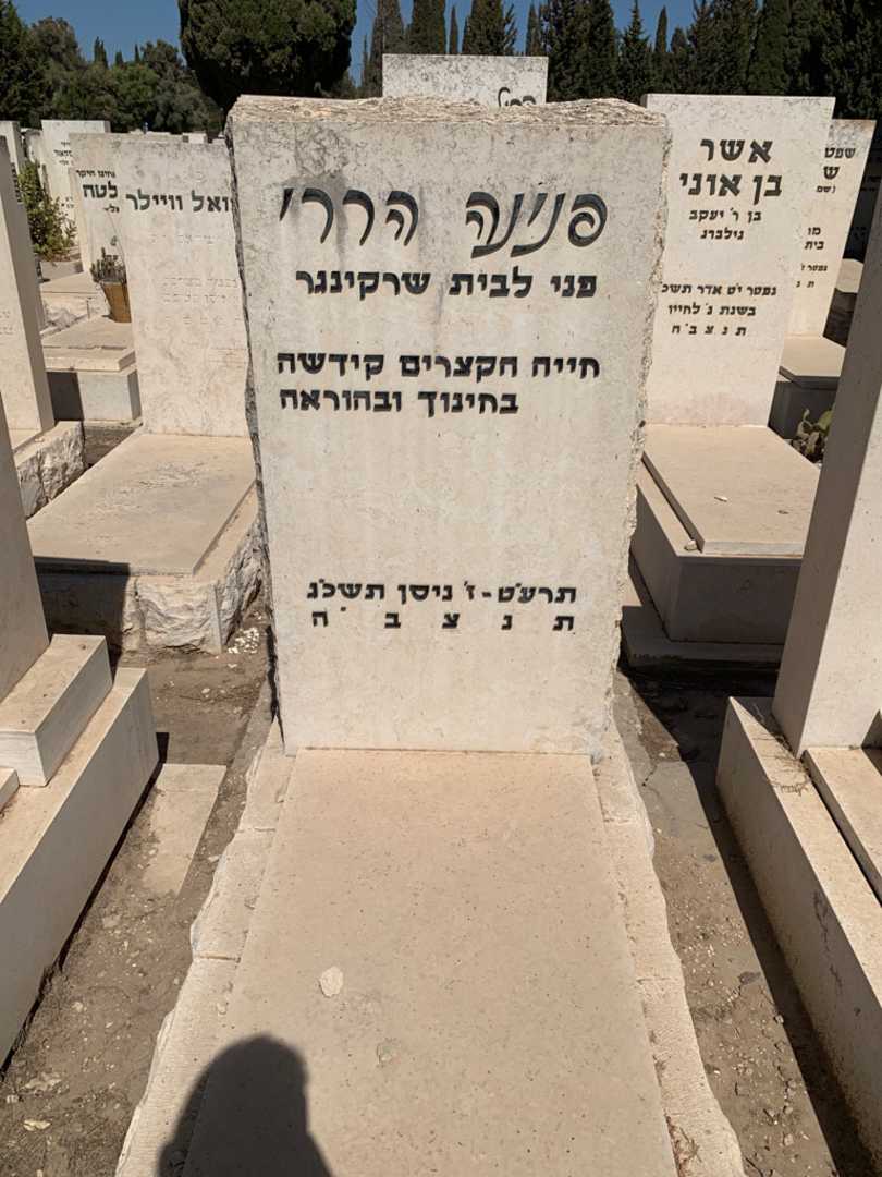 קברו של פנינה הררי