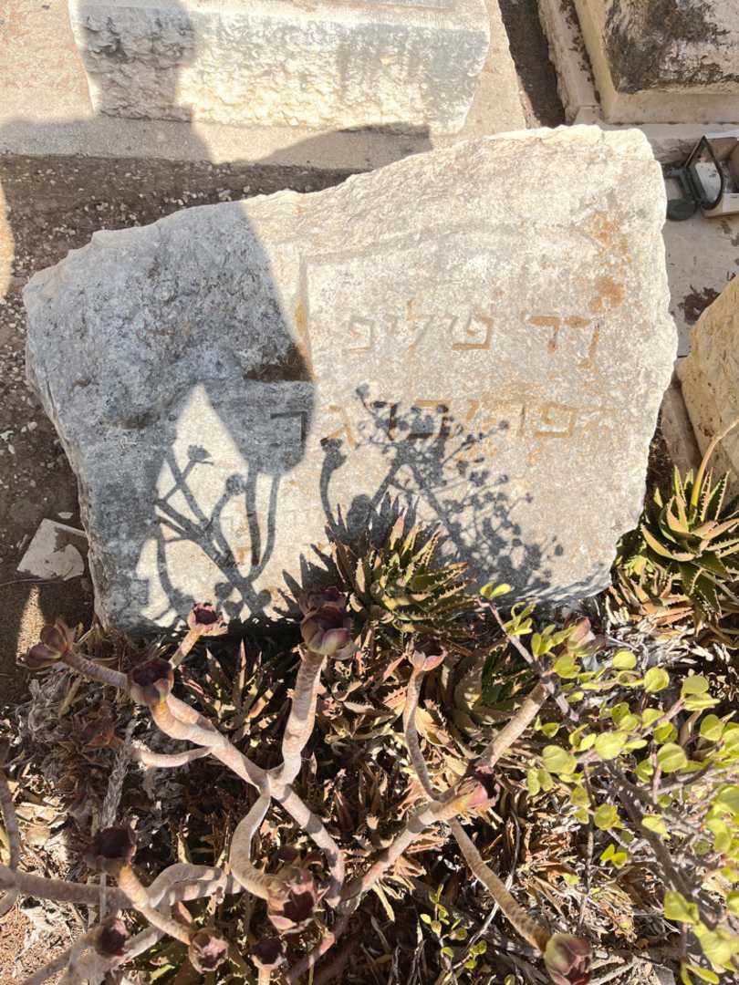 קברו של פיליפ פריברגר. תמונה 2