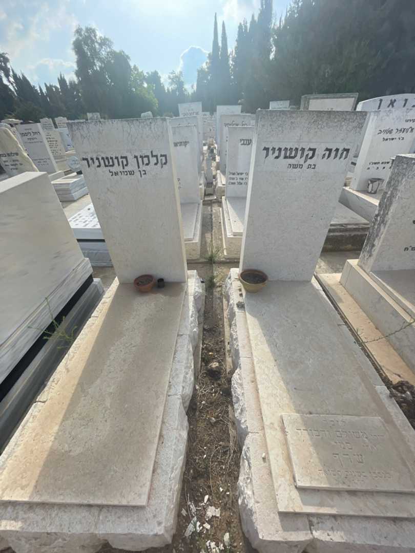 קברו של דבורה שרף. תמונה 1