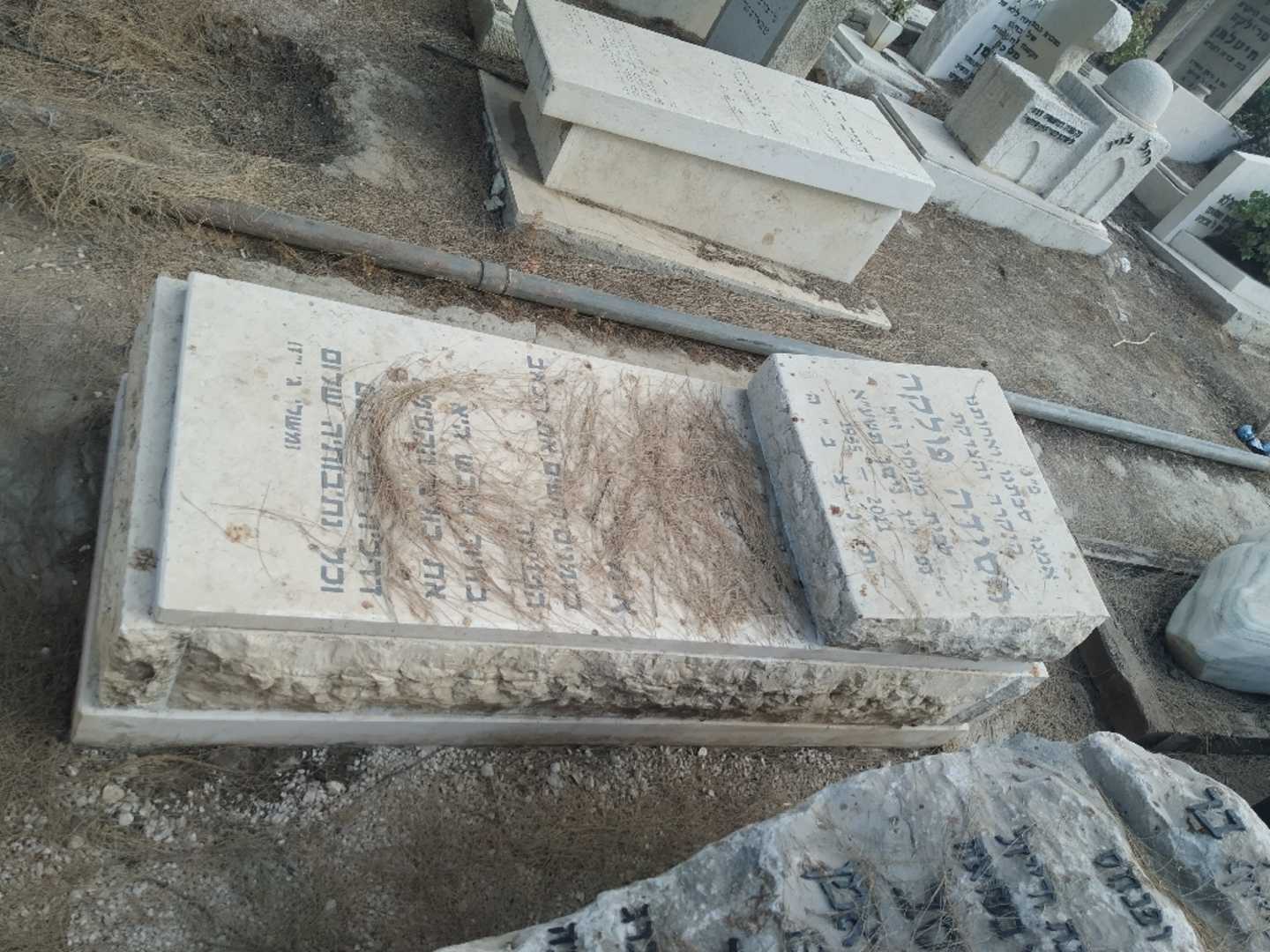 קברו של חסידה פולקה