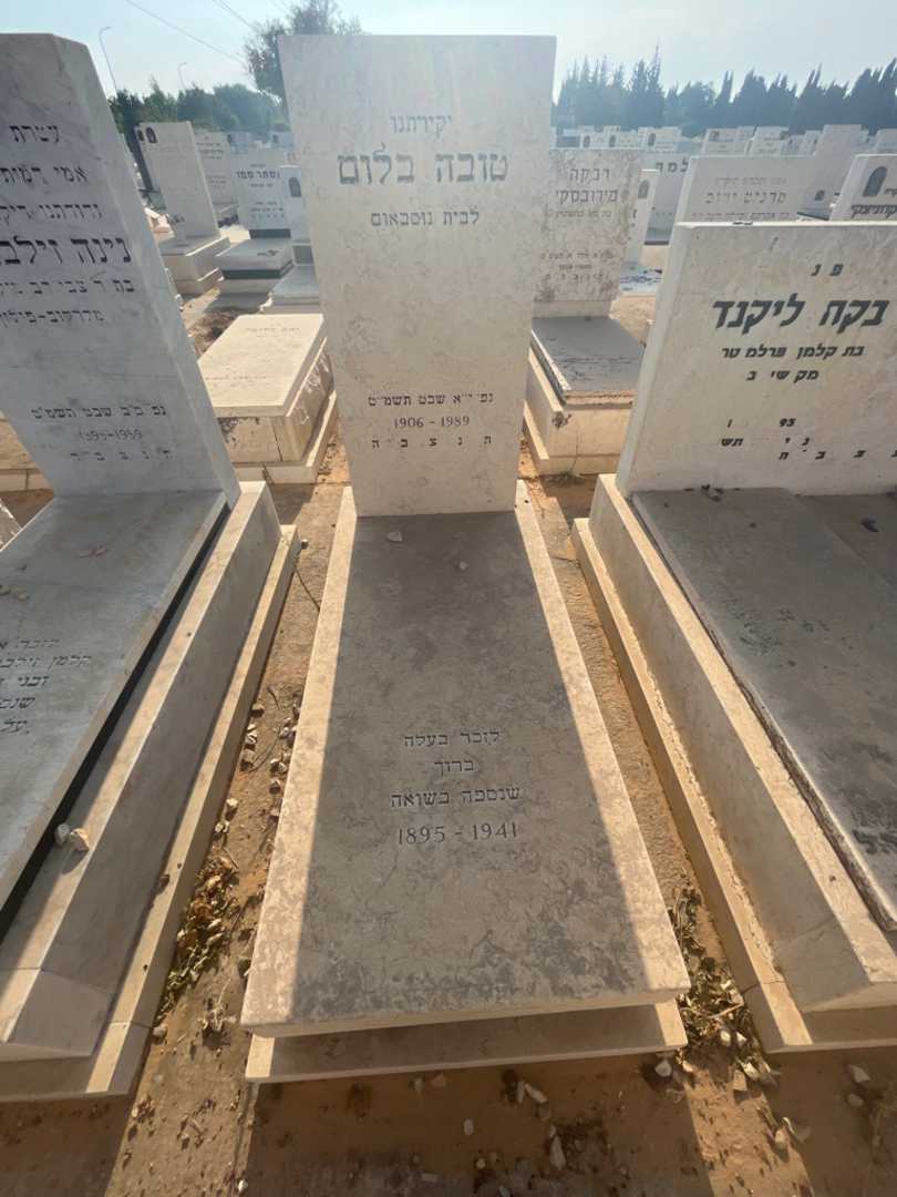 קברו של טובה בלום