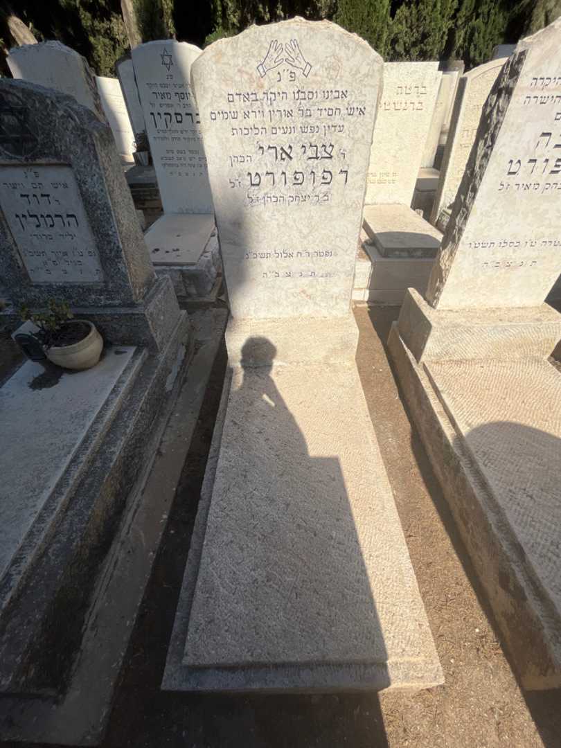 קברו של צבי ארי רפופורט. תמונה 1