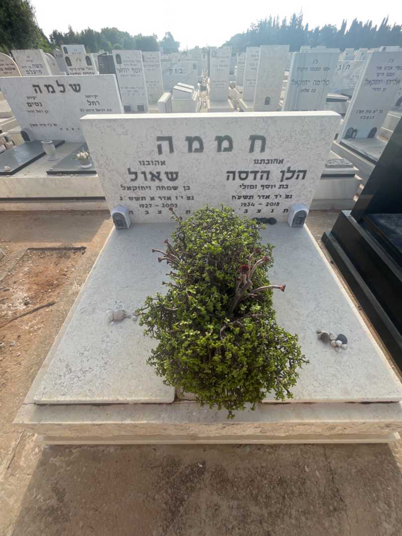 קברו של שאול חממה. תמונה 2