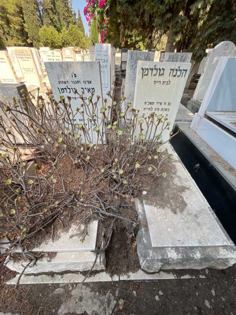 קברו של הלנה גולדמן רייס. תמונה 2