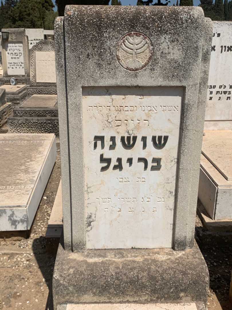 קברו של שושנה בריגל. תמונה 1