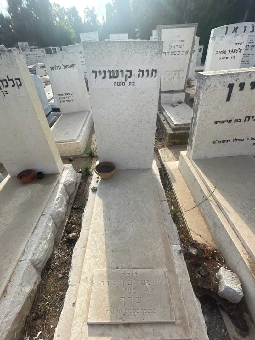 קברו של דבורה שרף. תמונה 2