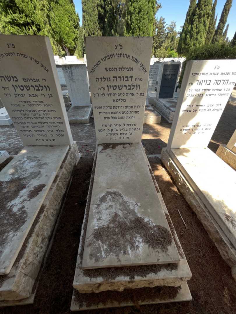 קברו של דבורה "גולדה" וולברשטין. תמונה 2