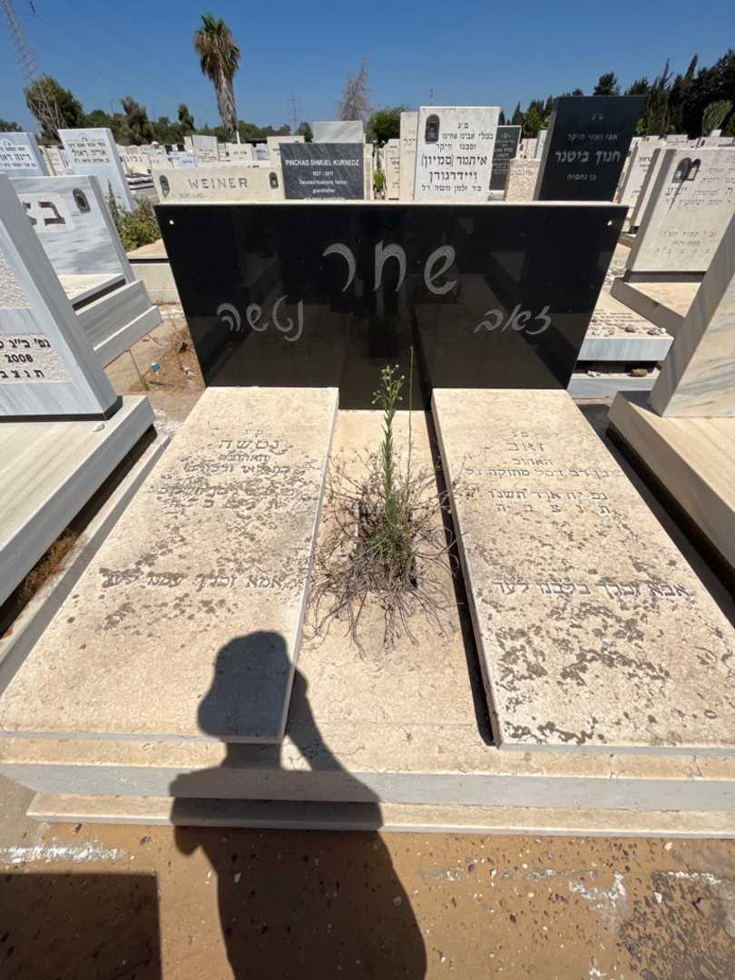 קברו של זאב שחר. תמונה 1