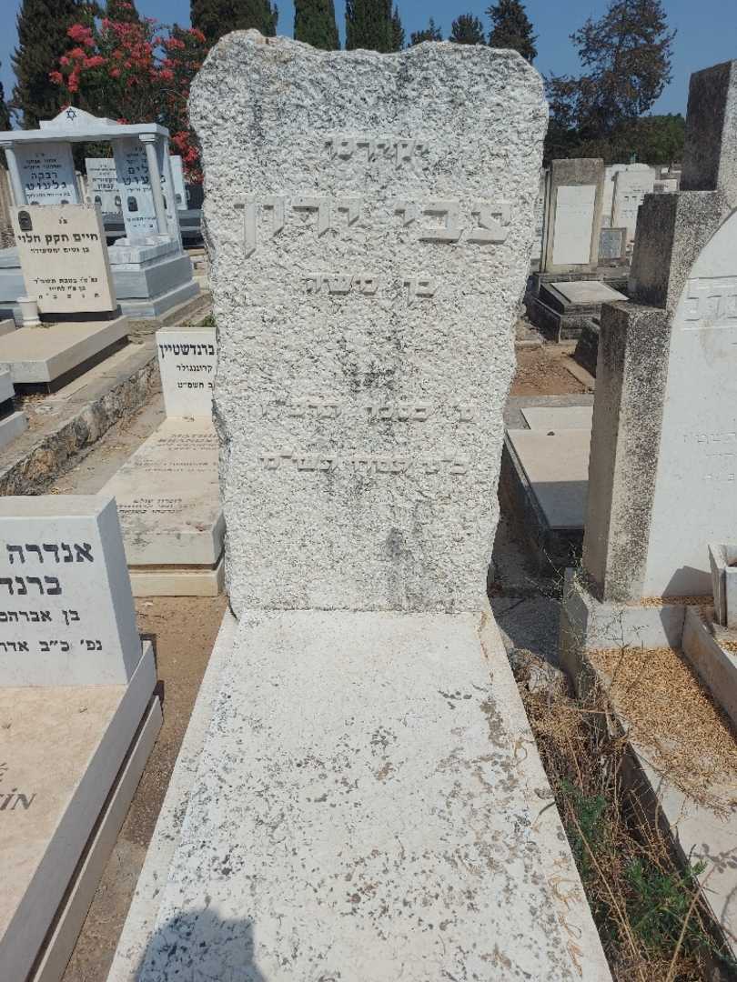 קברו של צבי ירון