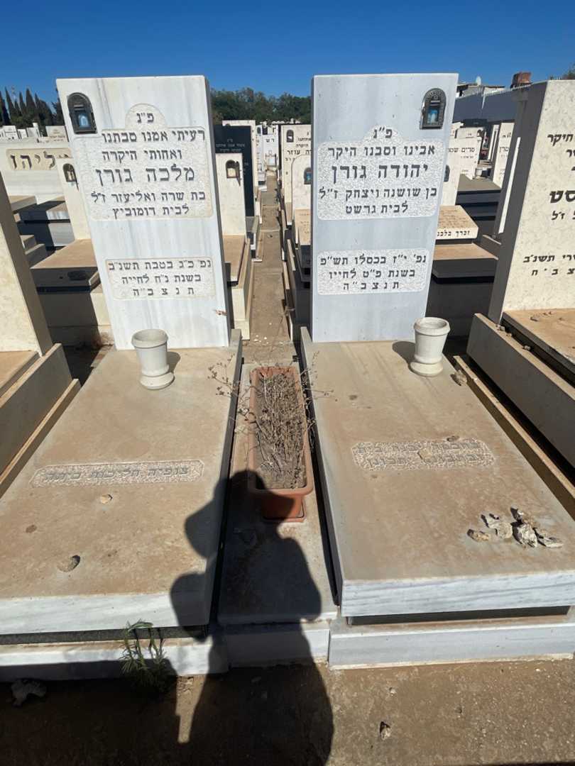 קברו של יהודה גורן. תמונה 1