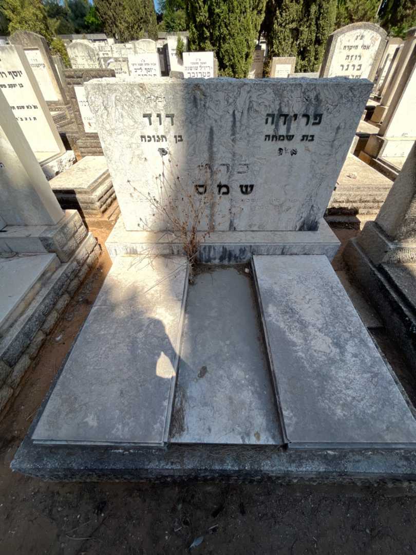 קברו של פרידה כהן שמס. תמונה 1