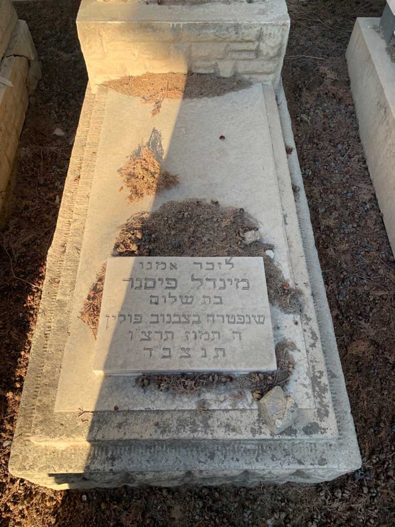 קברו של אברהם פישל פיסנר. תמונה 2