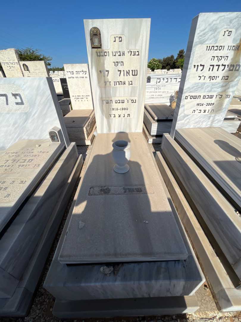 קברו של שאול לוי. תמונה 1