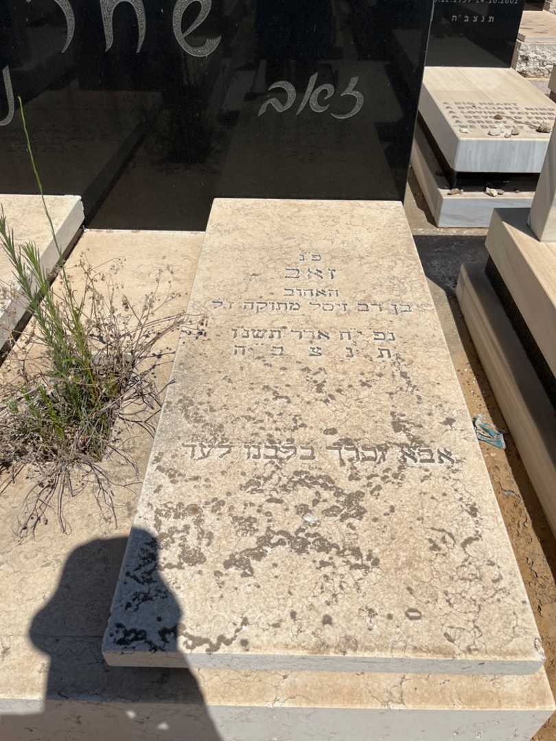 קברו של זאב שחר. תמונה 2