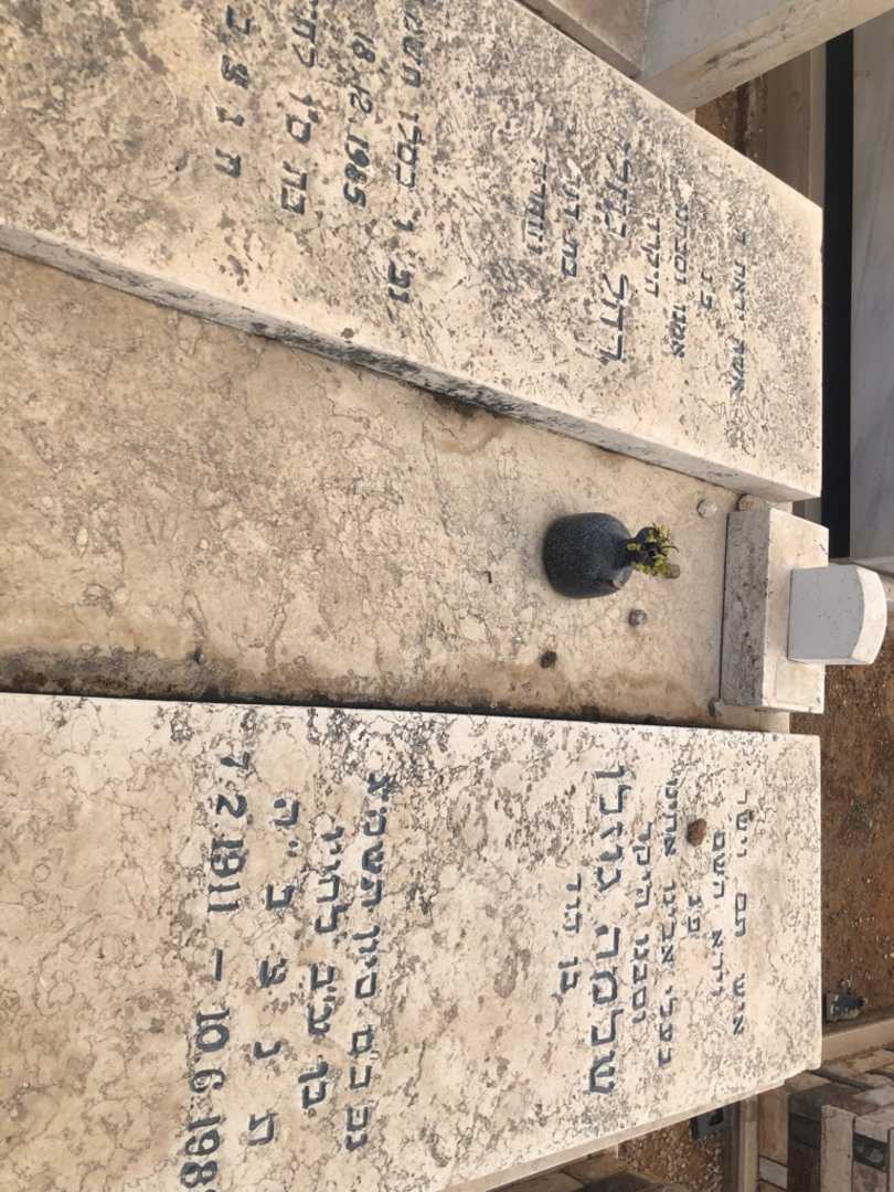 קברו של שלמה גוזלן. תמונה 2