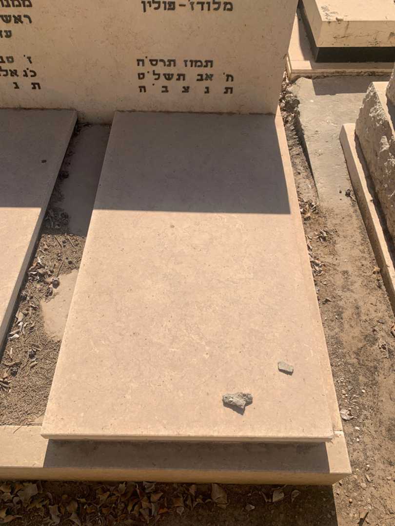 קברו של פלה "פייגה" חומט. תמונה 2