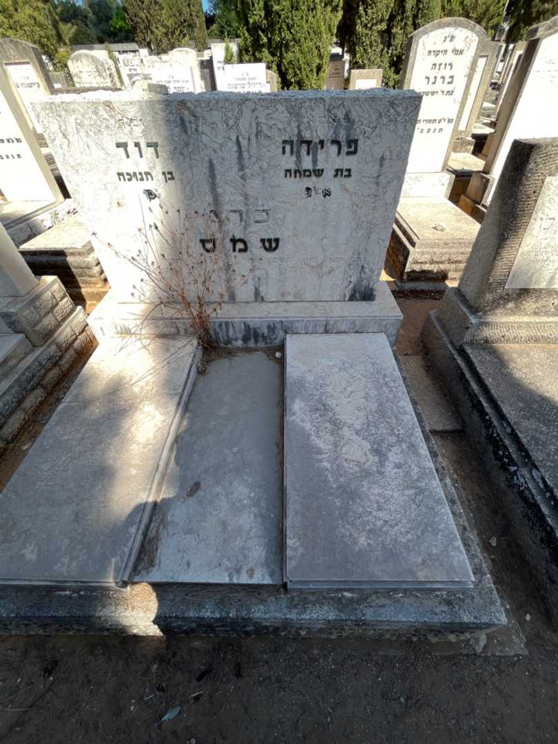 קברו של פרידה כהן שמס. תמונה 2