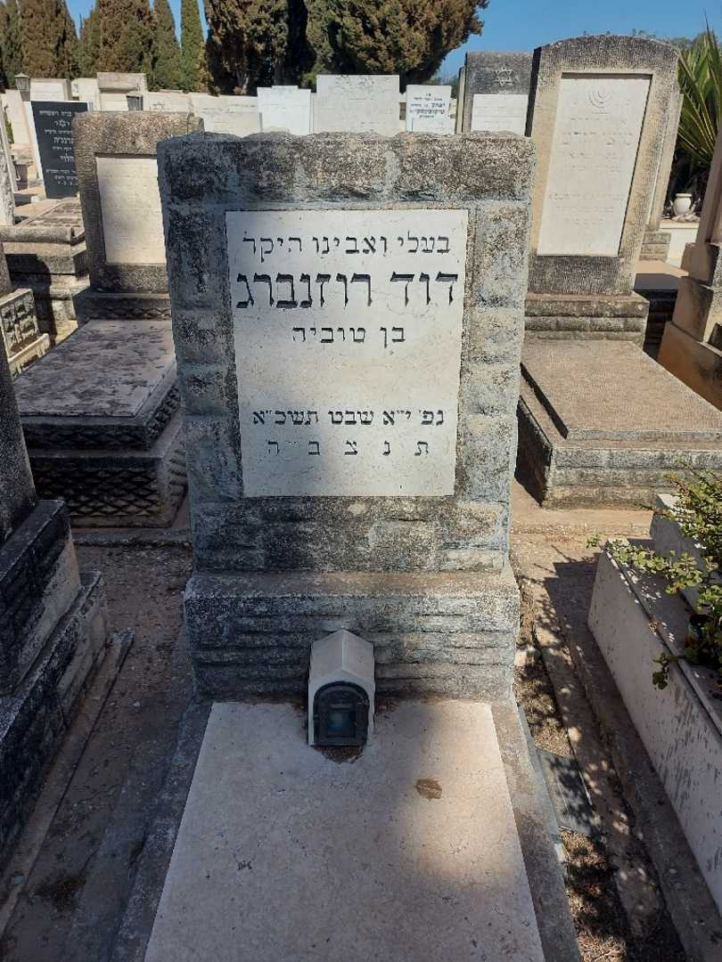 קברו של דוד רוזנברג