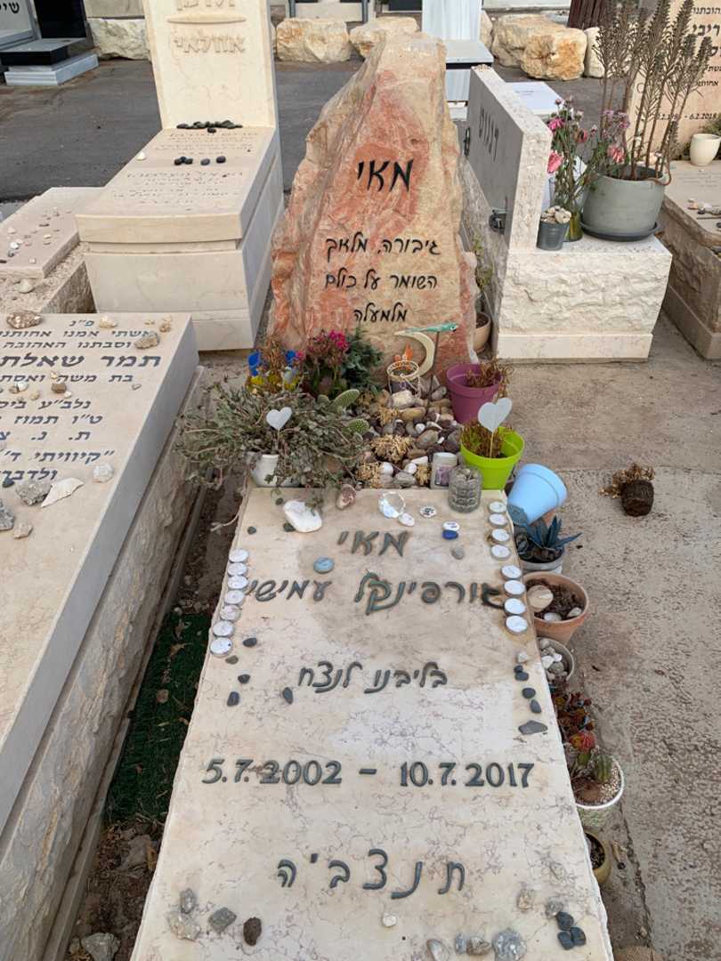 קברו של מאי גורפינקל עמישי