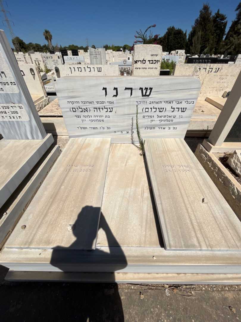 קברו של עליזה "אליס" שרנו. תמונה 1