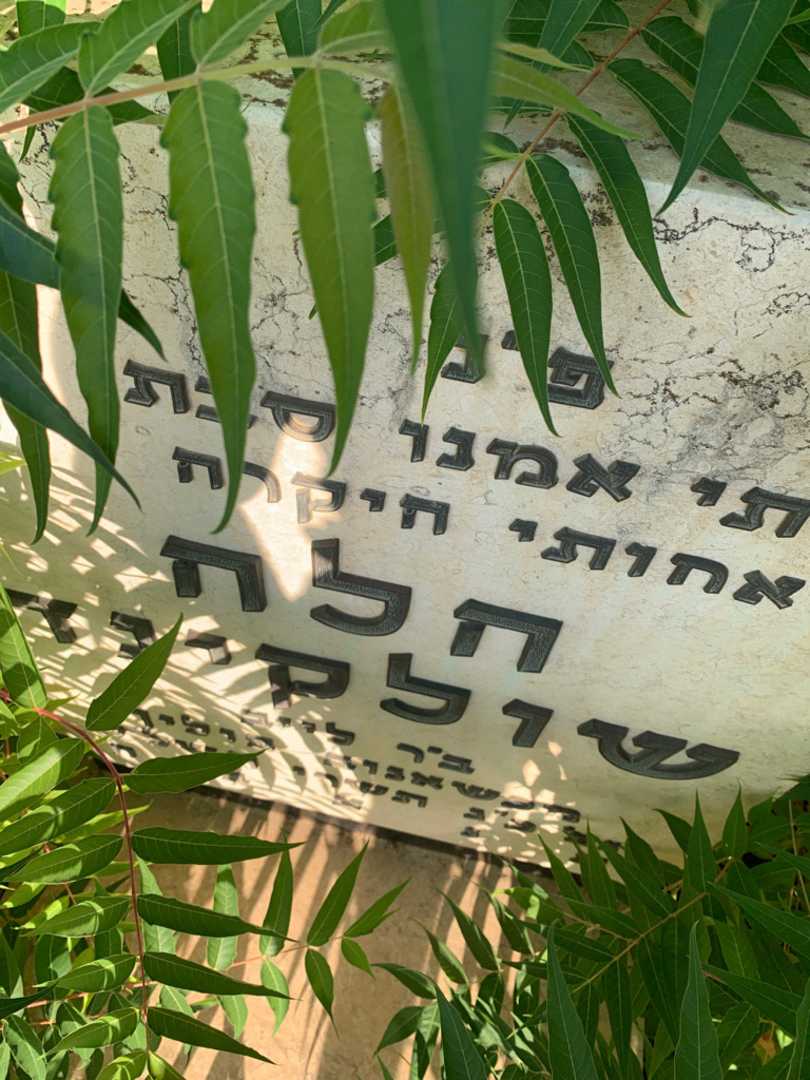 קברו של הלה שולקינד. תמונה 2