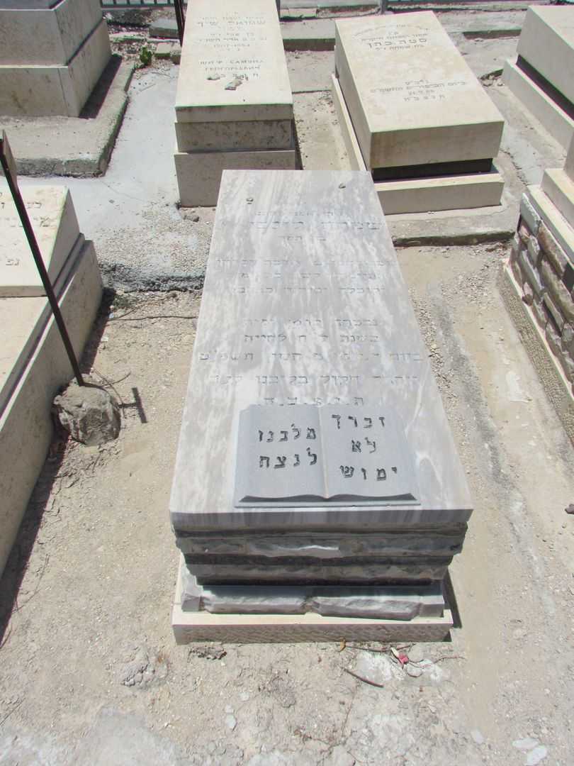 קברו של שמחה לוגסי
